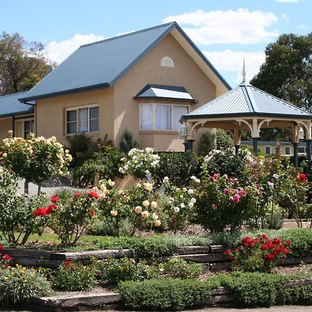 Willows Motel Goulburn Exterior foto