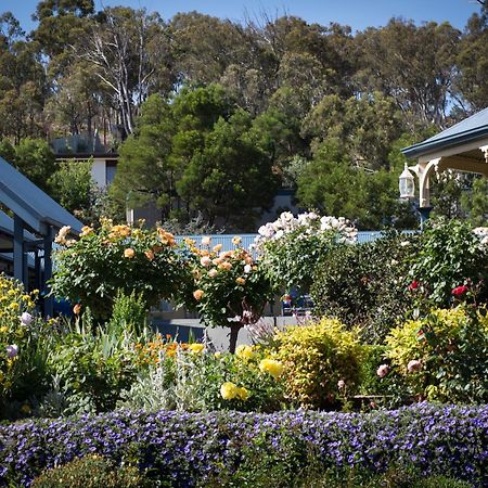 Willows Motel Goulburn Exterior foto